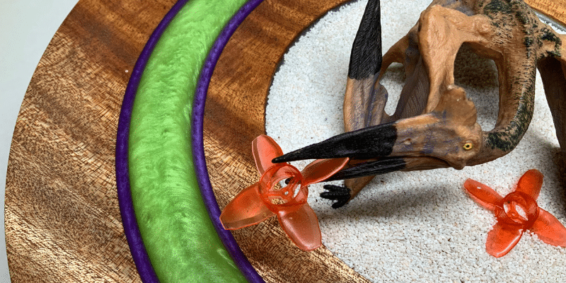 Detail of platter with shell rim