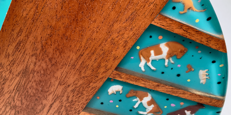 Detail of platter with shell rim